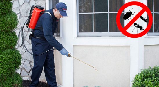 Suluova Akrep İlaçlama böcek ilaçlama ve haşere kontrolü — ilaclama-tr.com